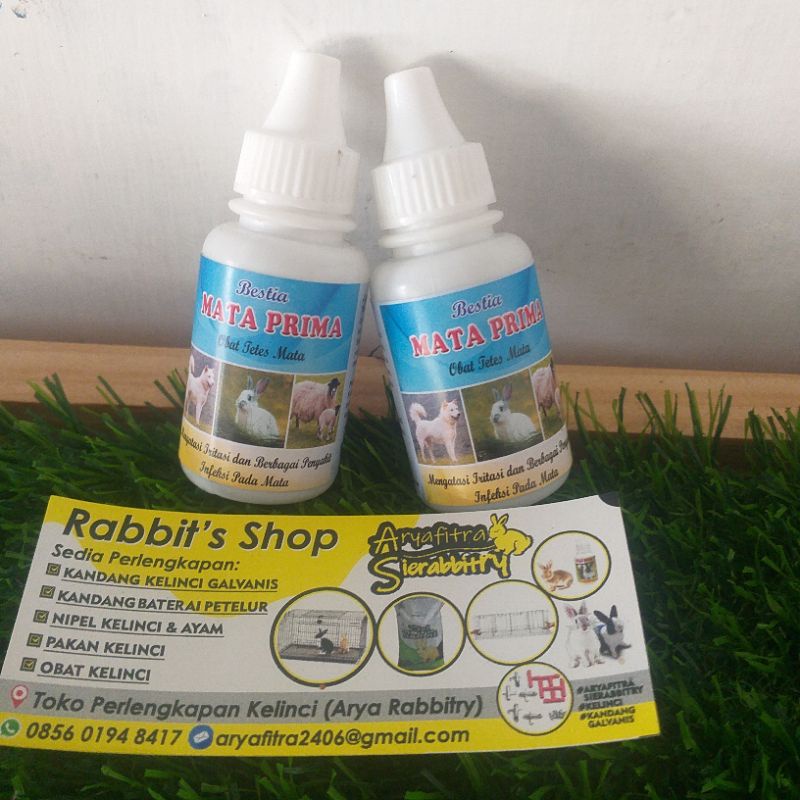 Obat tetes mata hewan (kucing, sapi, kambing, kelinci)