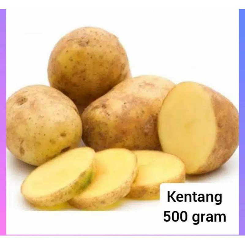 kentang Dieng..