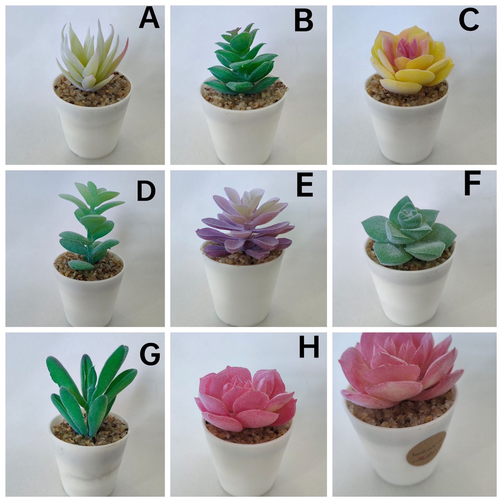 COD KAKTUS SKULEN BUNGA KAKTUS SET POT KAKTUS PALSU DEKORASI RUANGAN BK2204