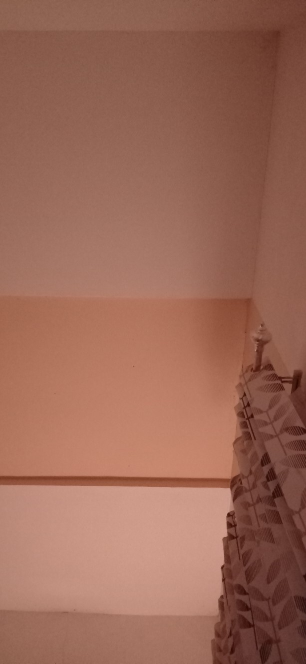 [murah] Alat Pengupas Kulit Kentang Wortel Buah Buahan Pisau Dapur Kupas