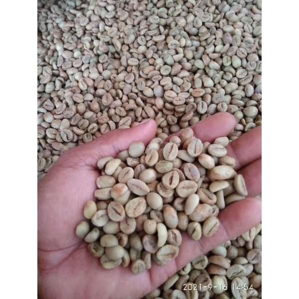 

greenbean fine robusta temanggung 1kg
