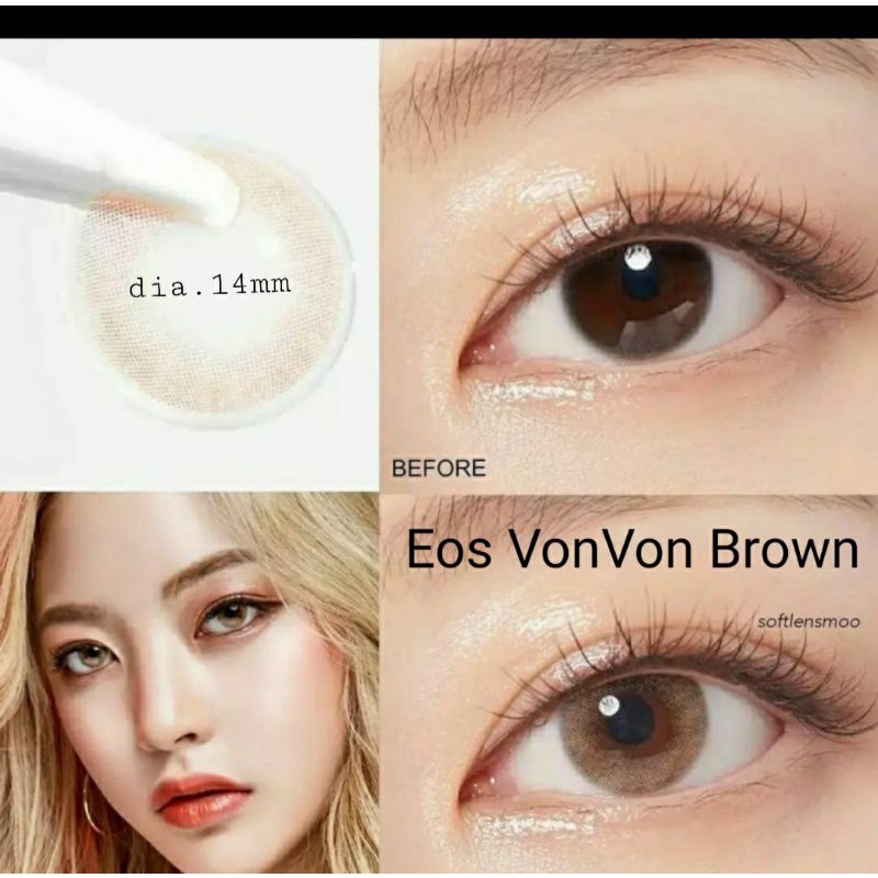 Softlens Eos Vonvon Brown Gray Blue Natural dia.14mm Normal Minus s.d -8.00