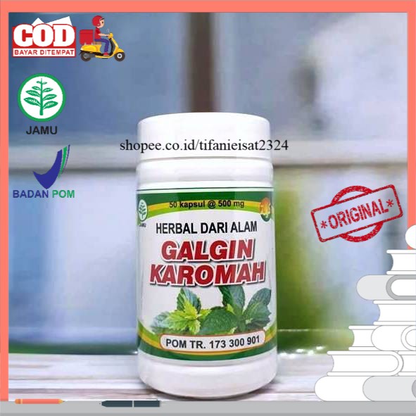 Obat Batu Ginjal Galgin De Nature