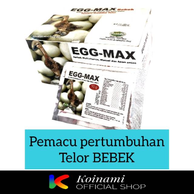 EGG MAX BEBEK PEMACU TELOR / raid