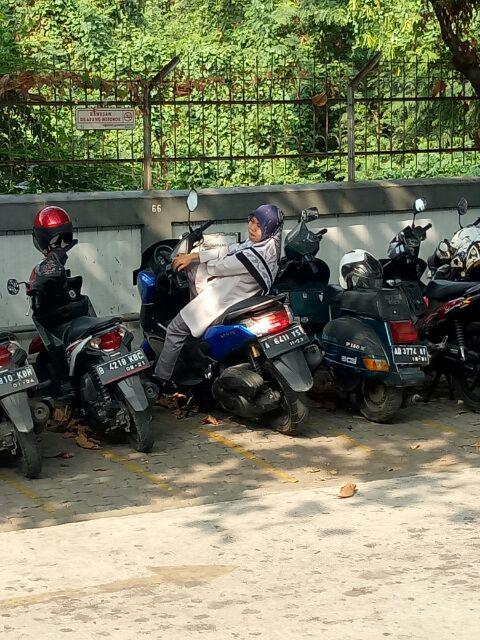 Gitar Akustik Yamaha Hitam buat Pemula Belajar Murah 