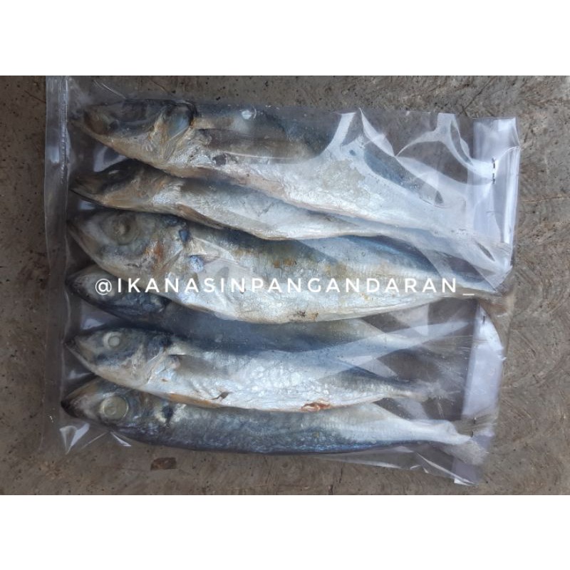 

IKAN ASIN PEDA (JAMBEAN) 250 GRAM ASLI PANGANDARAN