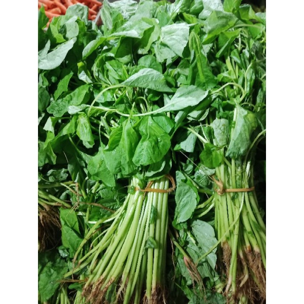 Jual Sayur Bayam Per Ikat Shopee Indonesia 