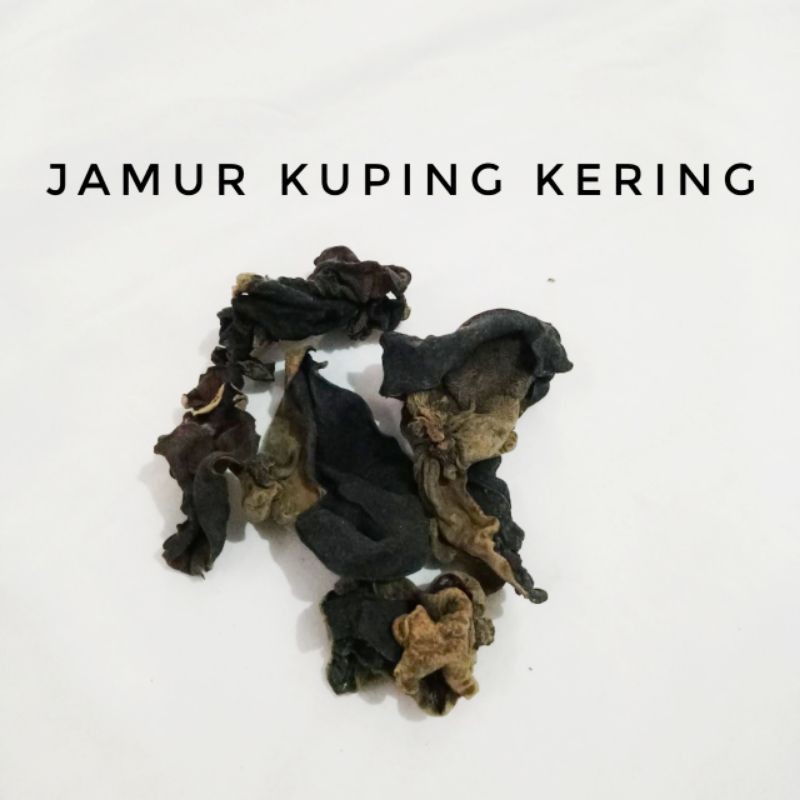 

JAMUR KUPING KERING