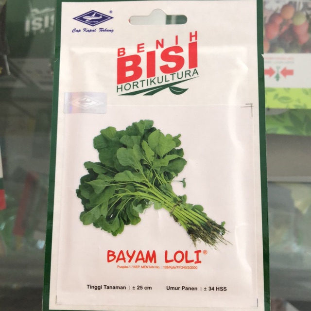 Bayam Loli Bisi