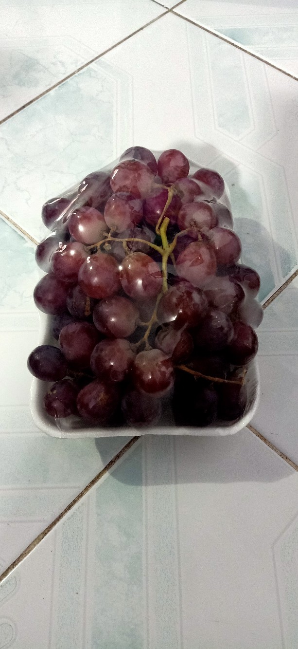 Tekiro Gergaji Besi 12inch Hacksaw Original