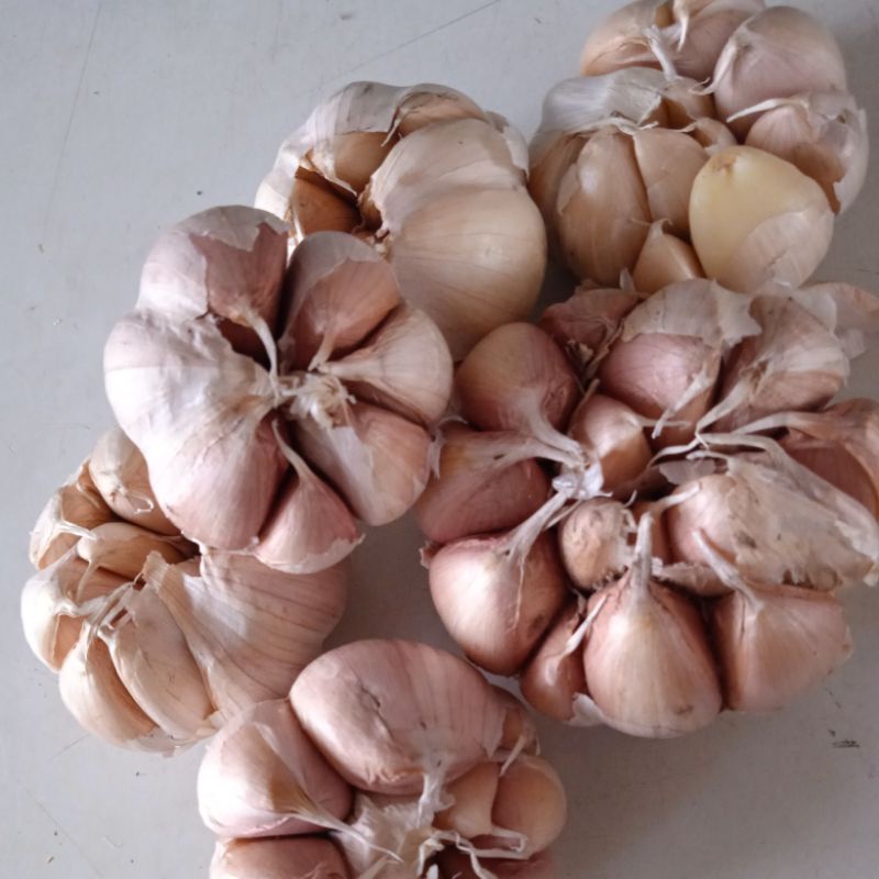 

bawang putih honan 250gr