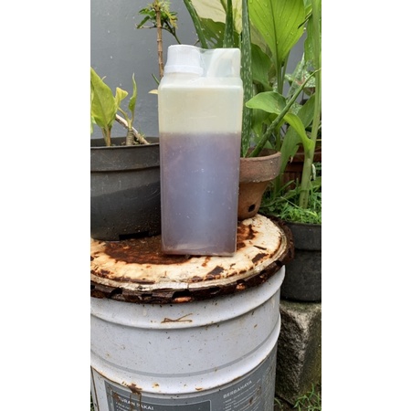 

Madu insulin super isi bersih 1kg