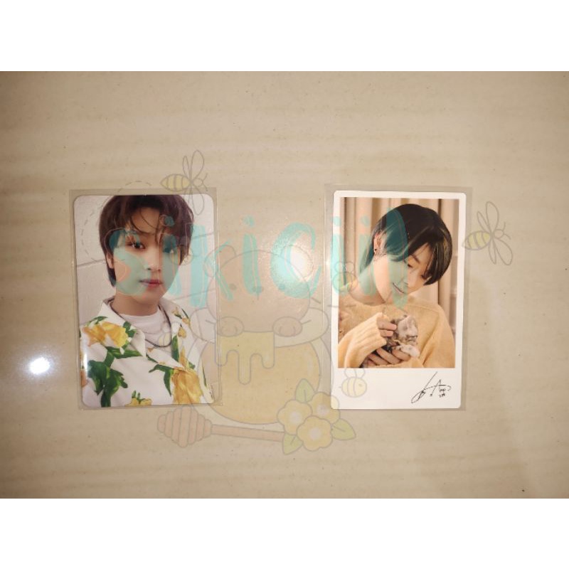 PC (photocard) Yuta natrep (nature republic) kucing