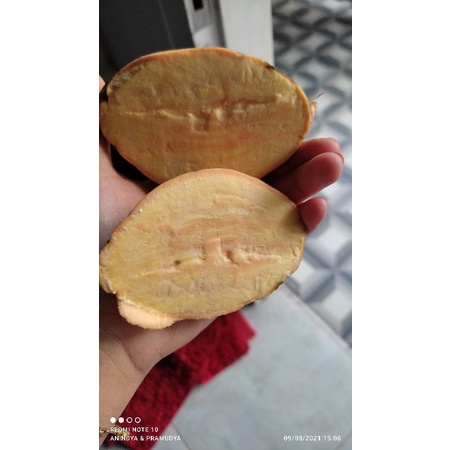

Tela Madu/Ubi madu manis 500Gr