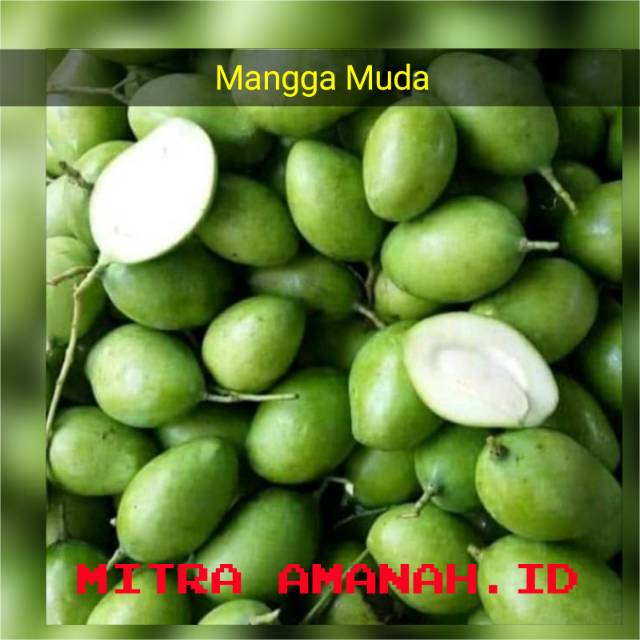 

MANGGA MUDA GROSIR FRESH