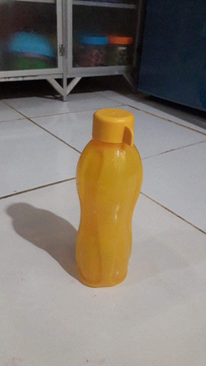 Eco Bottle 500ml Ulir  Per Pcs