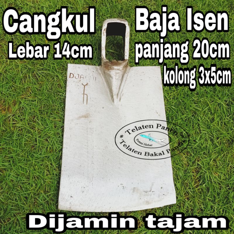 Pacul Cangkul putih Spesial Baja Isen 14cm (alat pertanian)