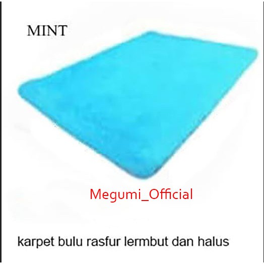 Karpet bulu 100x150x2cm polyfoam-Biru mint