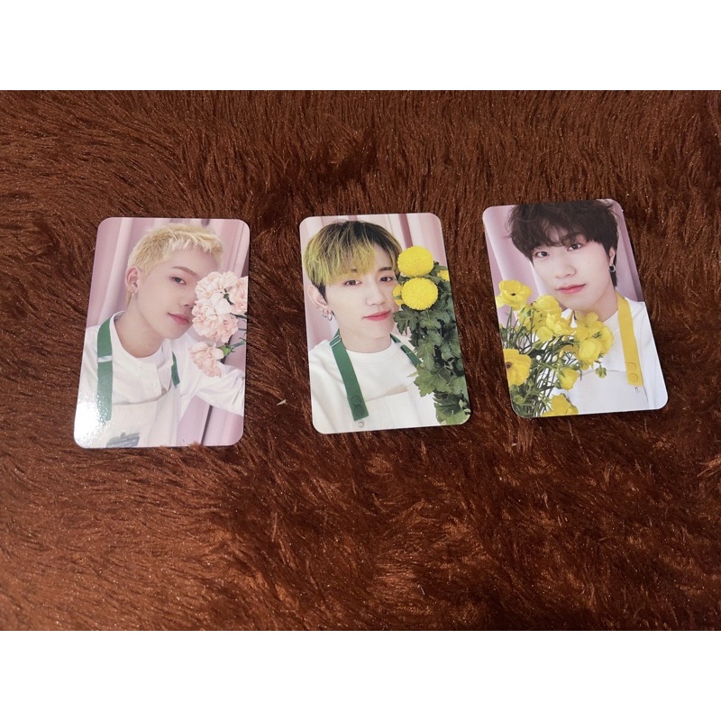 POB & RPC blooming Treasure