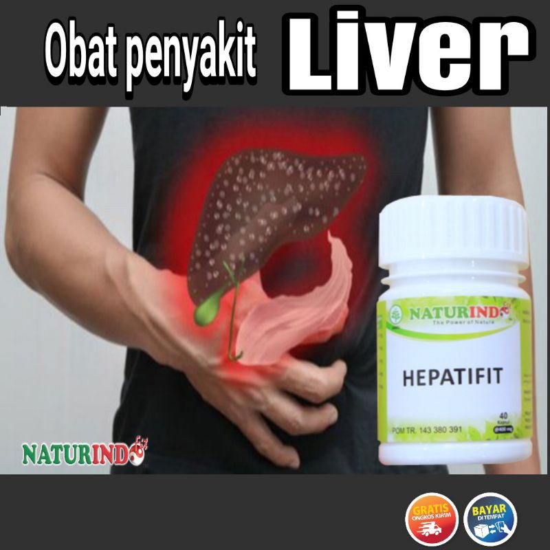 obat liver dan Hepatitis herbal penyakit hati