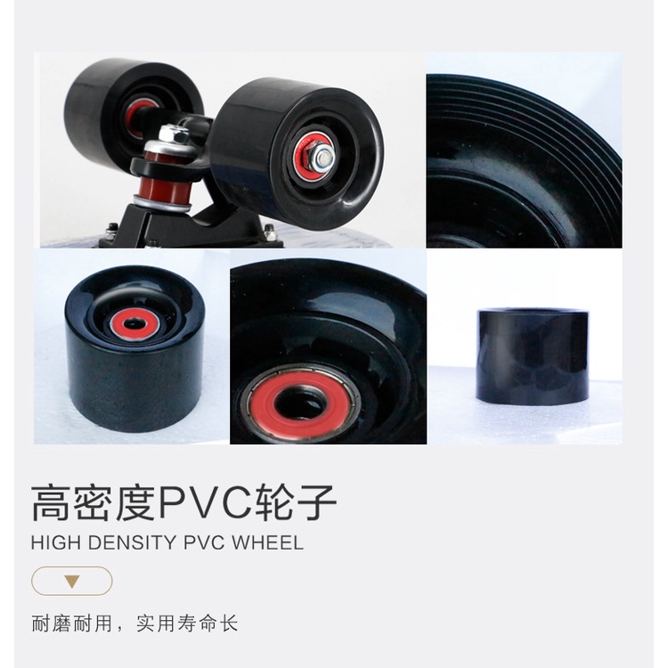 Sikat Skateboard Kepala Besar Untuk Anjing Kucing