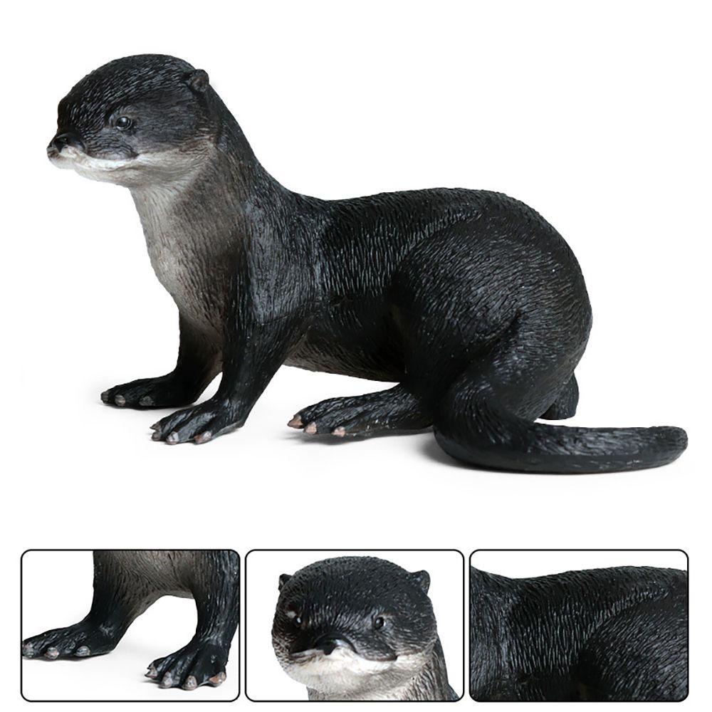 Chookyy Manusia Hidup Model Otter Pemandangan Kebun Binatang Anak Cognition Belajar Dini Hewan Liar