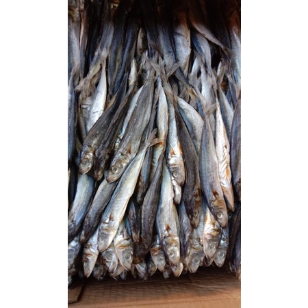 

ikan asin pedo/mernying/klotok berat 1kg