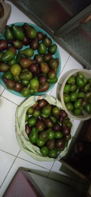 Lap Tangan Karakter Serbet Tangan Peralatan Dapur Peralatan Peralatan Makan Rumah Tangga 249