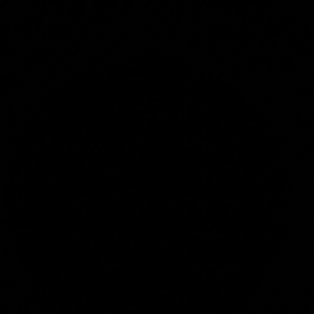 Tanaman Bidara Arab (buy 1 Get 1)