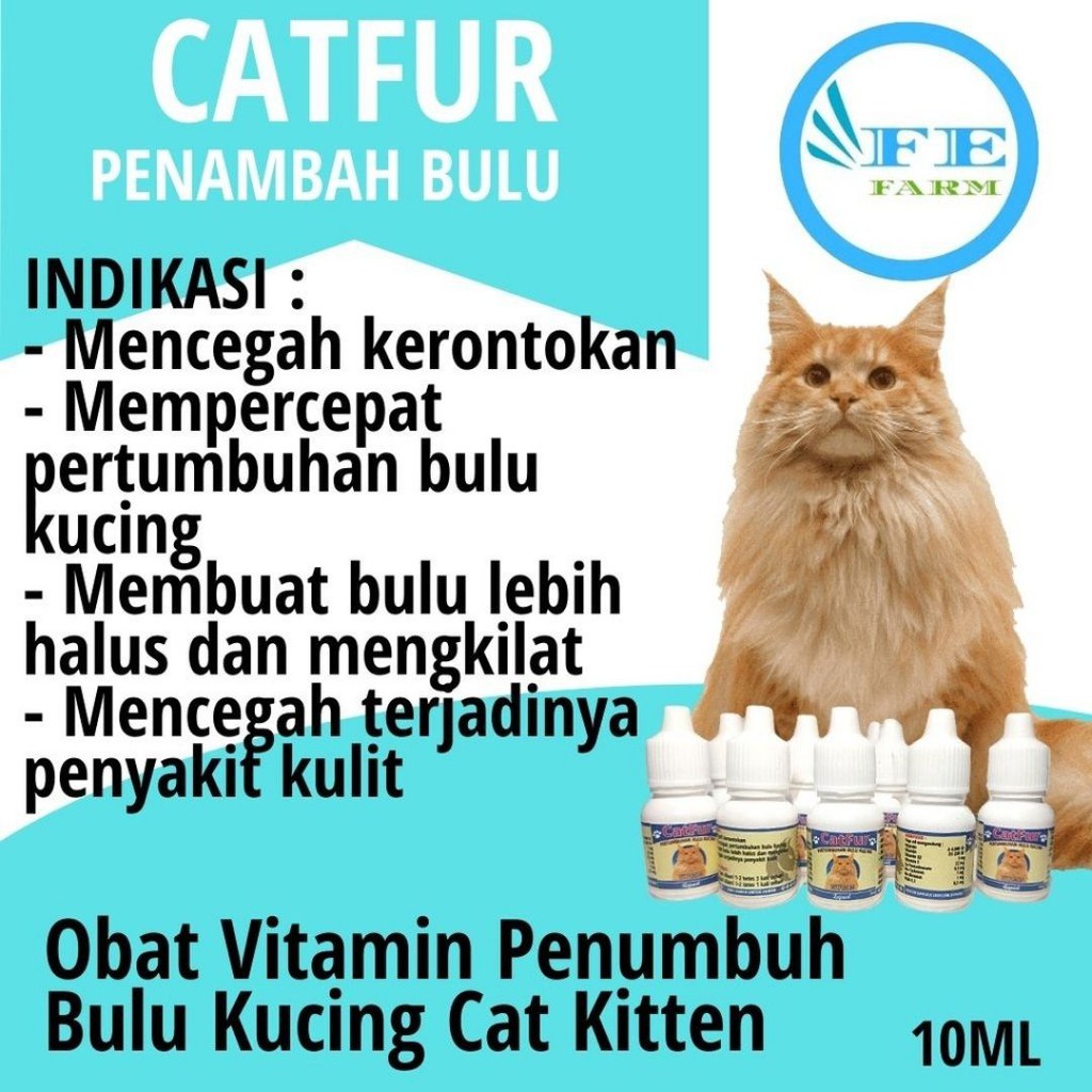 Vitamin Bulu Kucing Obat Penumbuh Bulu Rontok Vitamin Nutirisi Penumbuh Bulu Kucing CATFUR FEFARM