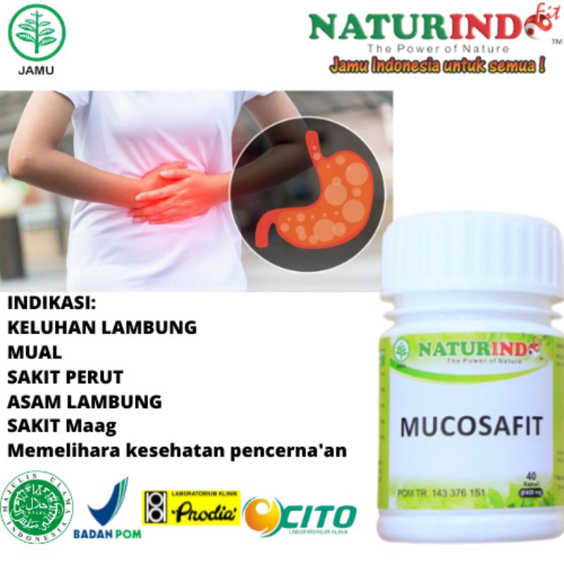 

Atasi Maag Dan Asam Lambung Dengan Herbal Mucosafit Spesialis Pengobatan Lambung