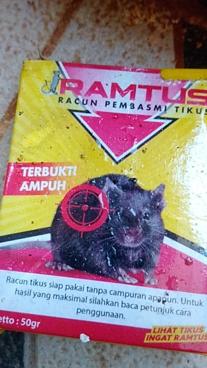 Ramtus Racun Tikus Ampuh Mati Kering Tidak Bau Pembasmi Curut Wirog Mencit Dirumah Di Mobil 2 Pack