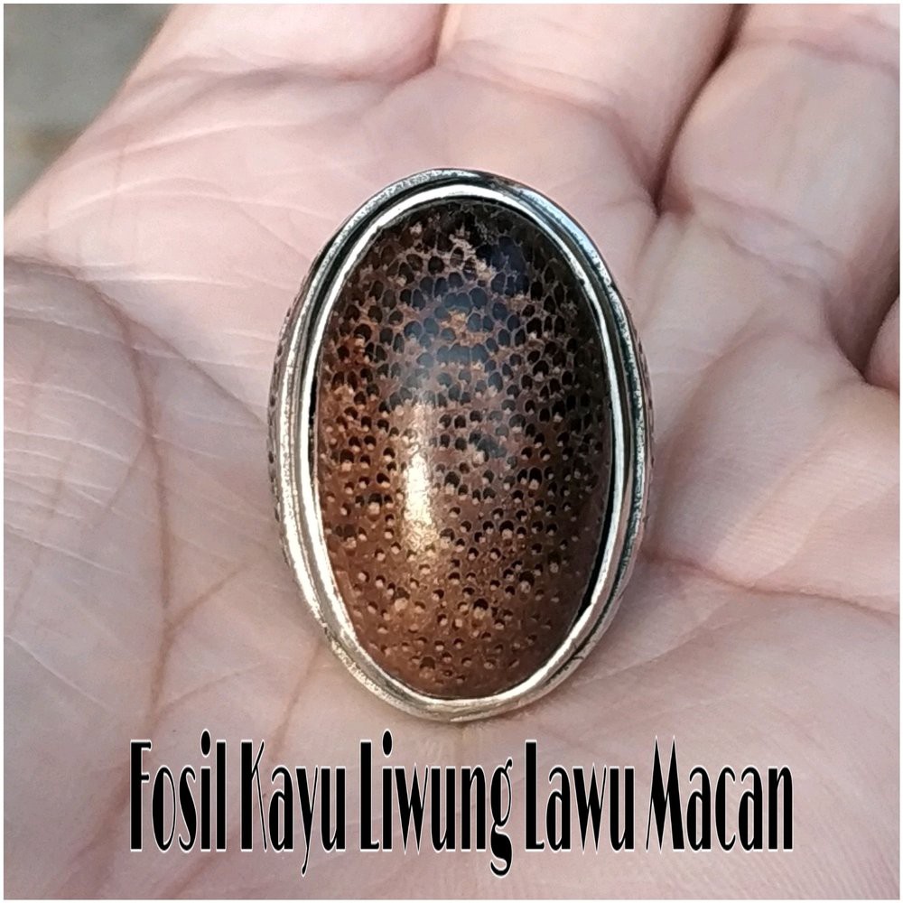 CINCIN BATU AKIK NATURAL FOSIL KAYU LIWUNG LAWU MACAN FOSIL KAYU AREN