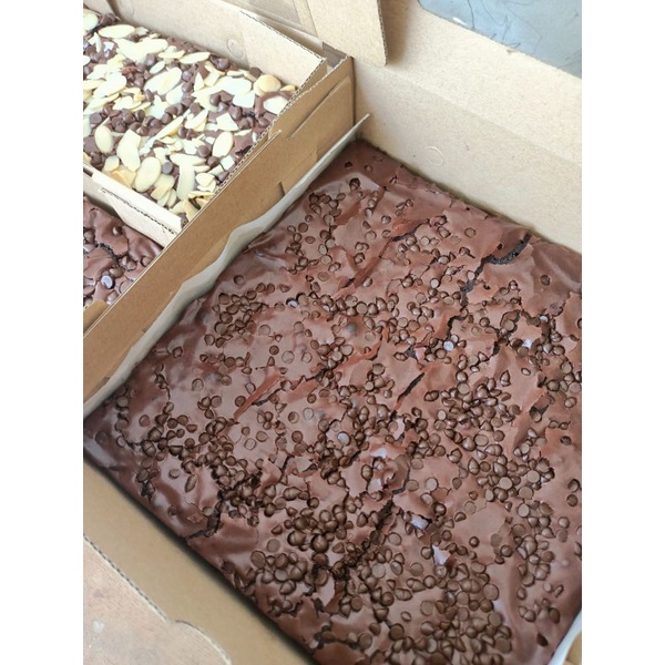 

Brownies Chocochip 20x20