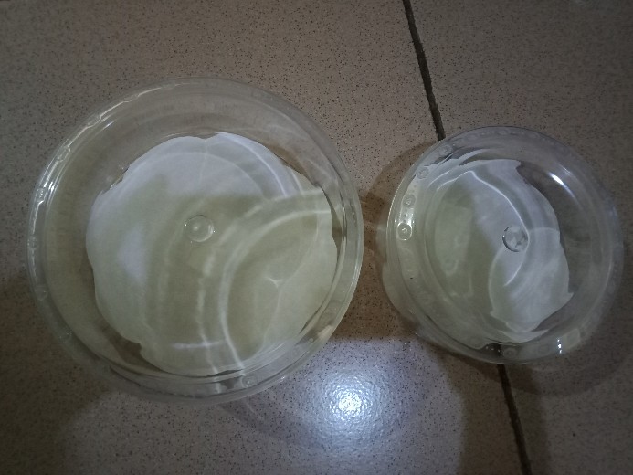 (cod) Toples Mika Bulat Surya Plast / Toples Kue Kering Lebaran Murah 250 500 Gram