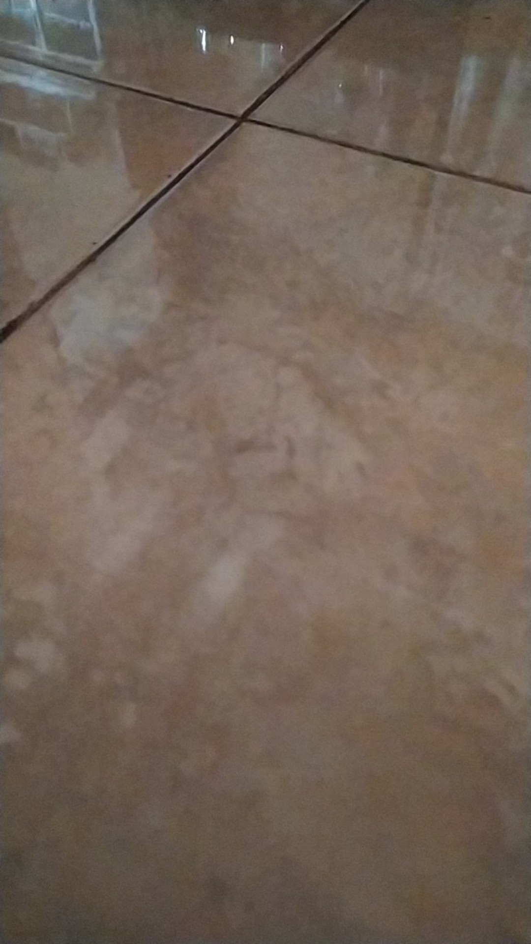 Jasa Cek Plagiasi  - Turnitin [no - Repository Aman 100%]