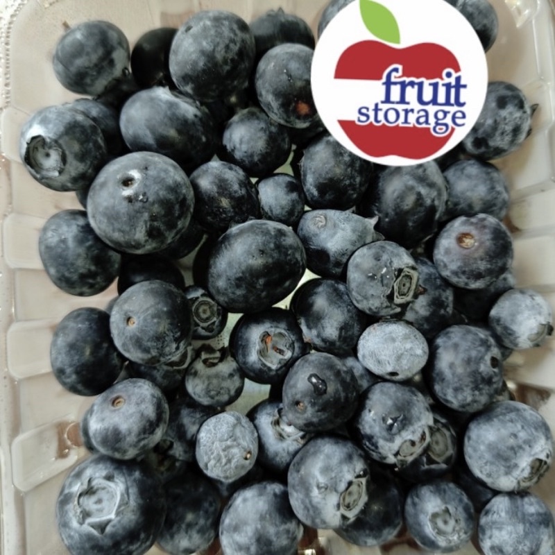 Blueberry Import Fresh (bukan frozen, bukan manisan) buah segar berry impor