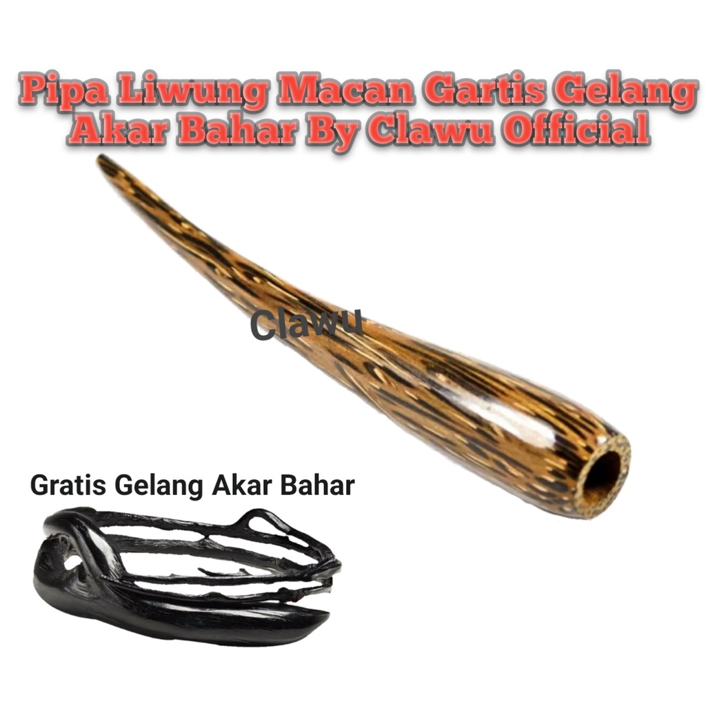 Satu Paket Pipa Kayu Liwung Gelang Akar Bahar