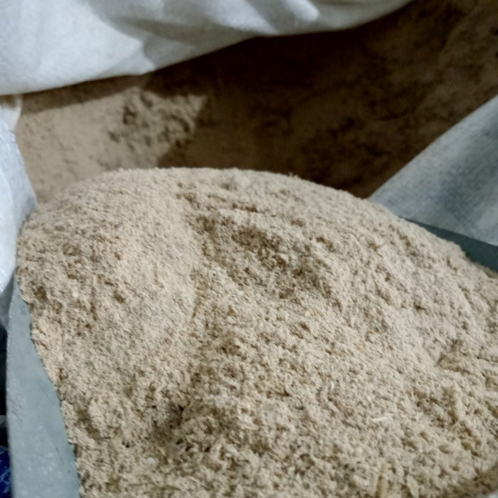 dedek padi atau dedek beras ini bisa digunakan sebagai pakan ternak.