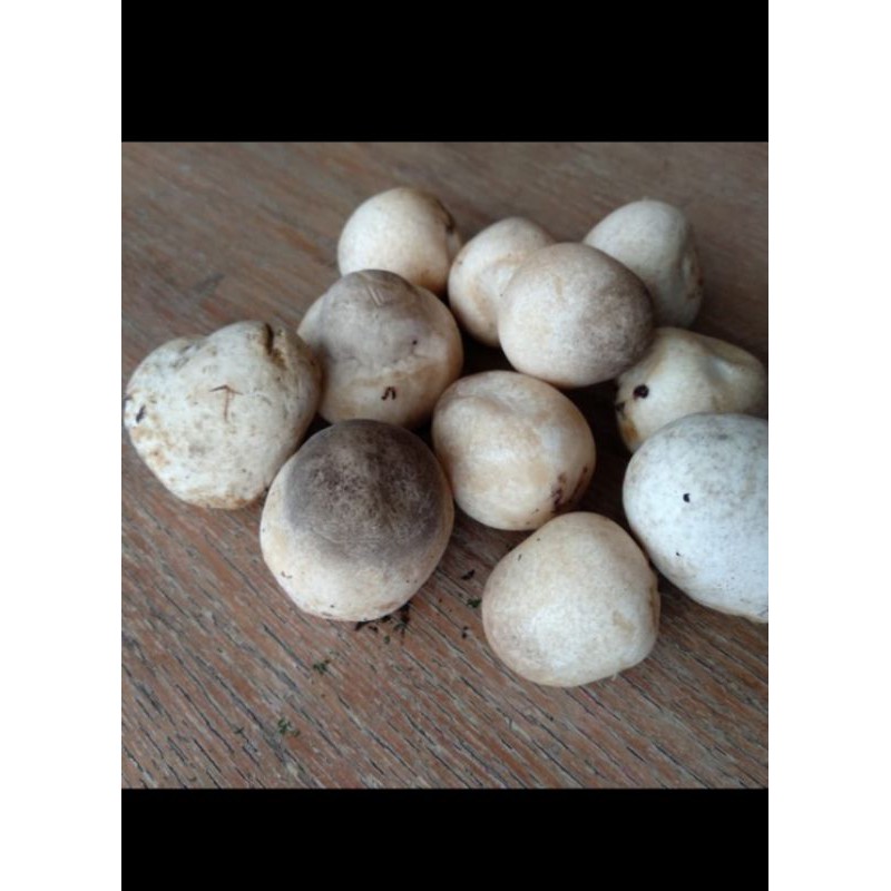 

jamur merang segar - 250 Gram