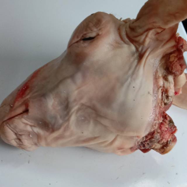 

Kepala Kambing Sedang