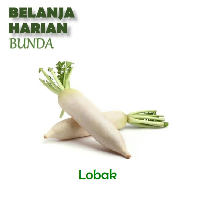 

lobak 500gr