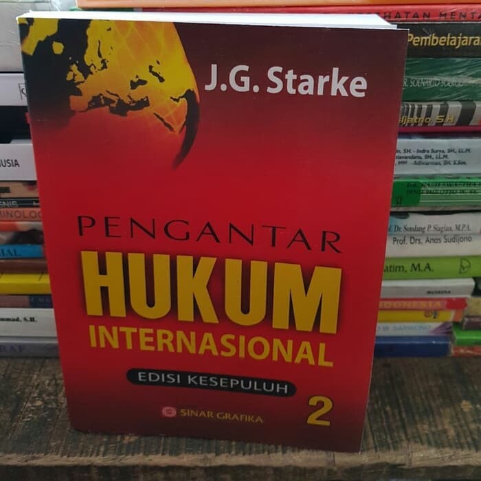 

Pengantar hukum internasional edisi 10 kesepuluh buku 2 j g starke