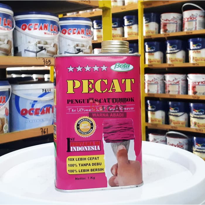 Pengelupas Cat Tembok Pecat 1 Kg