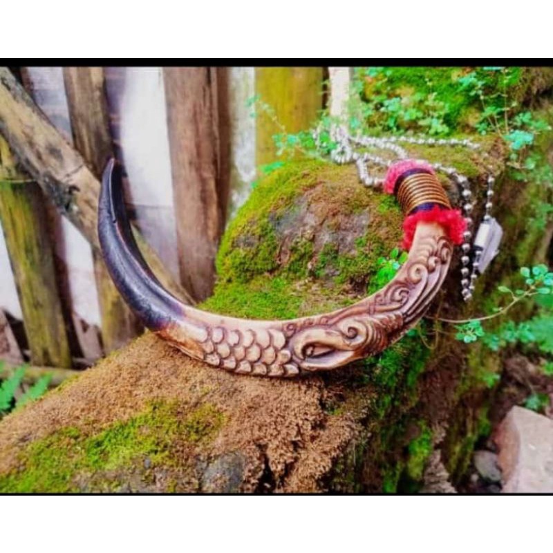 taring babi motif ukir  burung