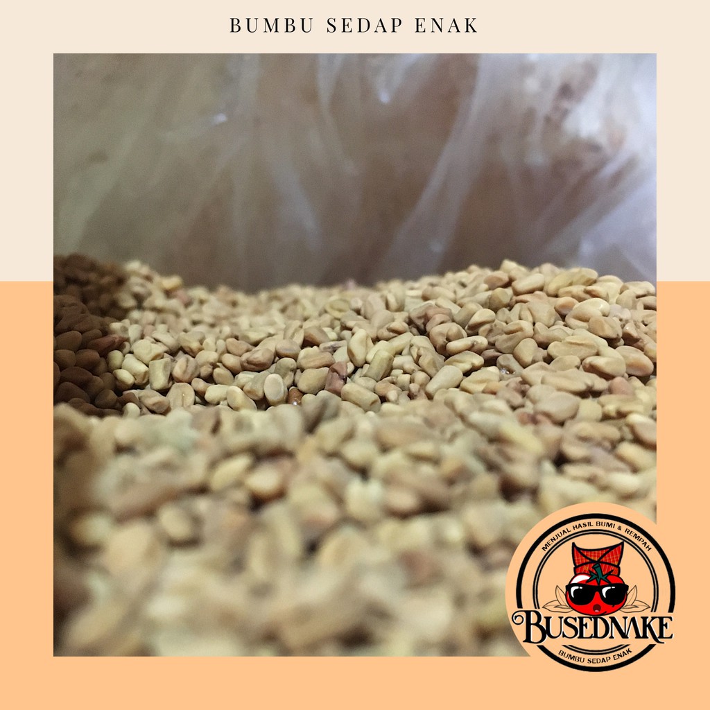 

100gr Klabet Fenugreek Alba Hulbah Super Quality