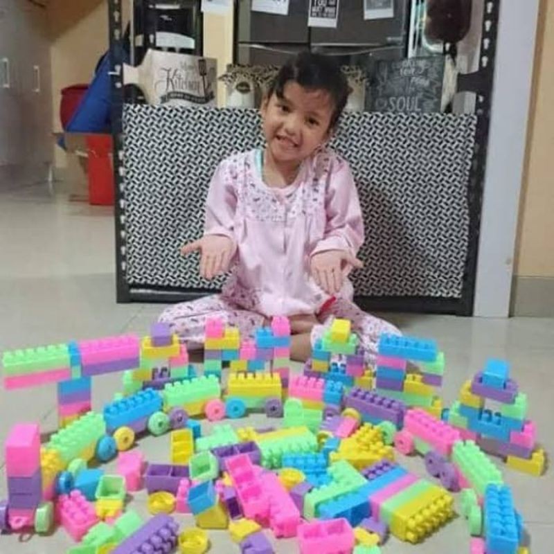 Mainan Mr Block 136 pcs Edukasi - Brick Balok Susun Anak Laki Perempuan Jumbo Edukatif