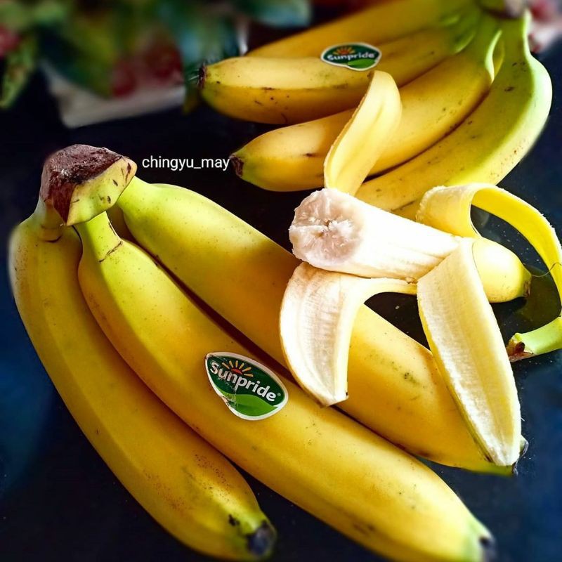 BIBIT PISANG CAVENDISH JARINGAN KULTURA