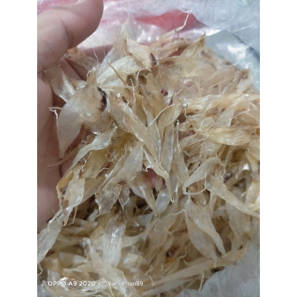 

Hu Pio / Sam ge Pio / Pelampung Ikan #hupio #hepio