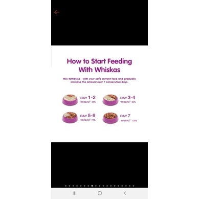 Whiskas Junior Kitten Pouch Wet Food 80gr